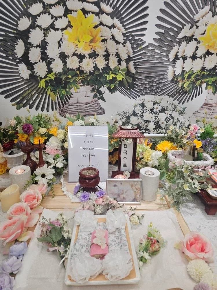 대구(경산) 숨표제휴 강아지 장례식장 ① 시설 사진