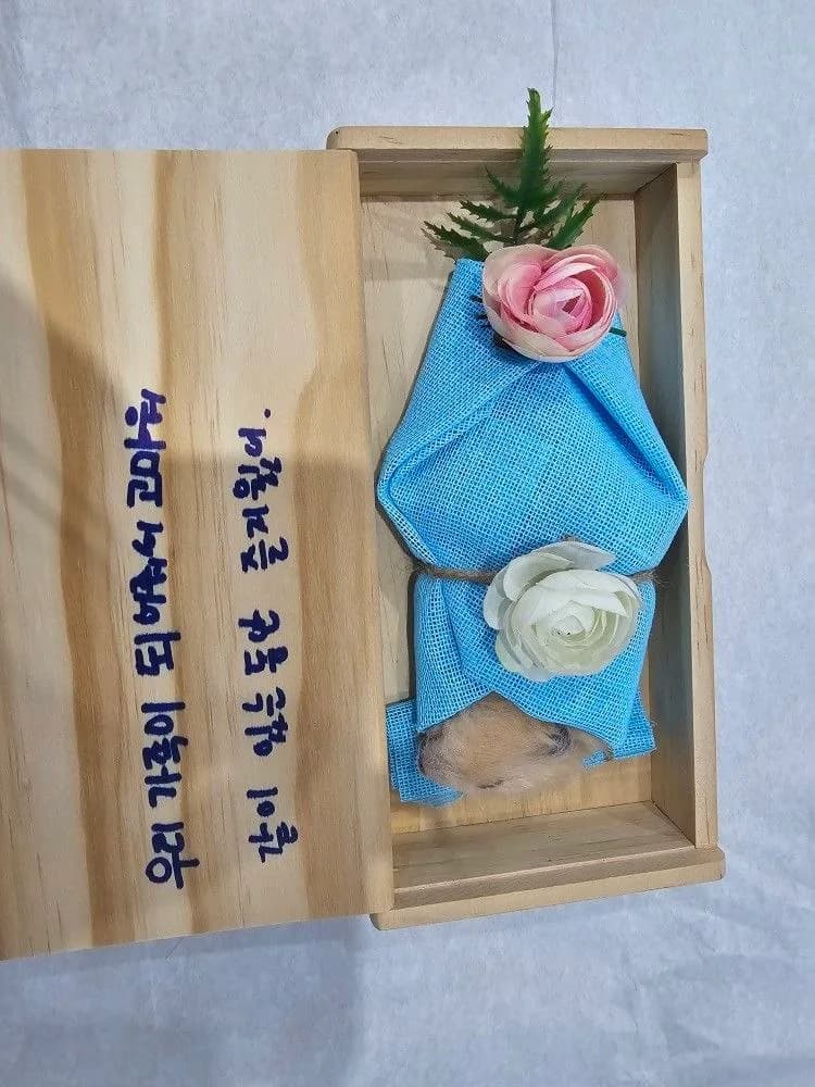 대구(경산) 강아지 장례식장 ② 시설 사진